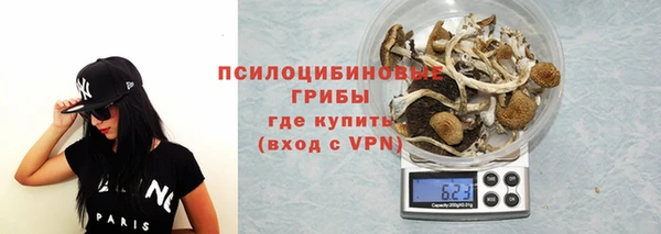 СК Алзамай