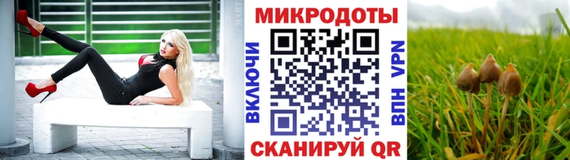 Псилоцибиновые грибы мухоморы  Костерёво 